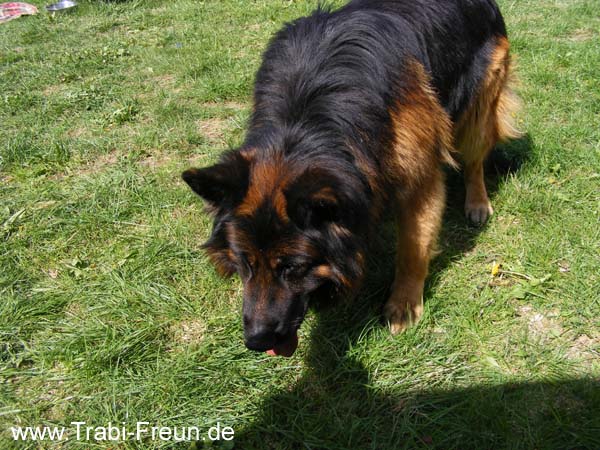 beierfeld 056