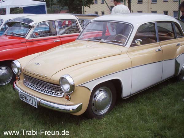 Bild 100