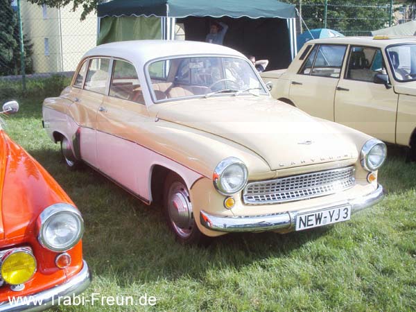 Bild 170