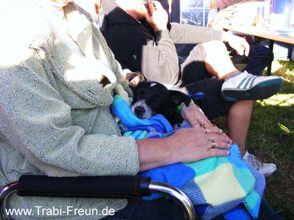freital 055