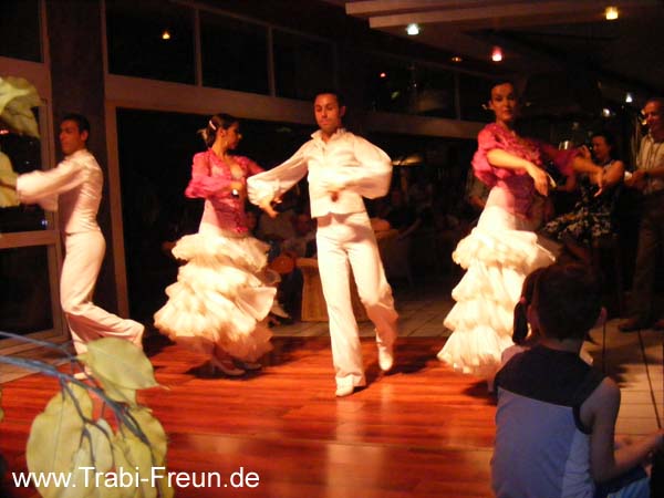 2007_11050066
