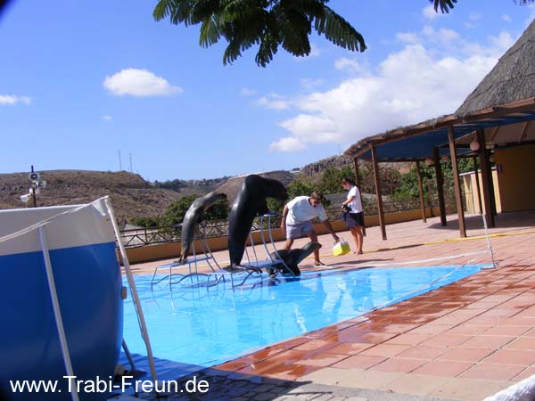 2007_11050093