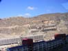 2007_11050155