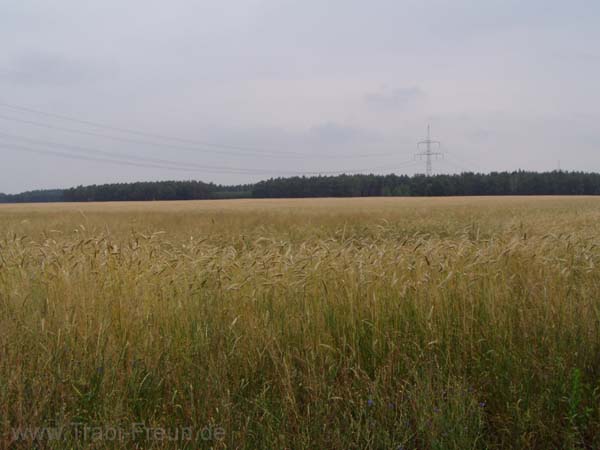 P2250028