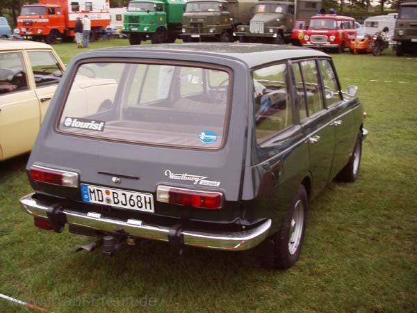50620251