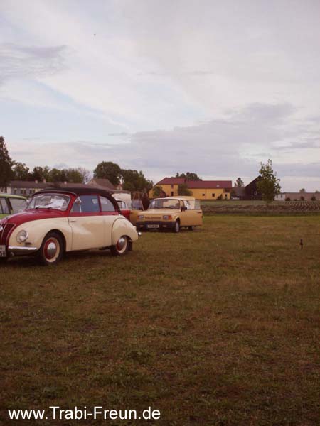Bild 118