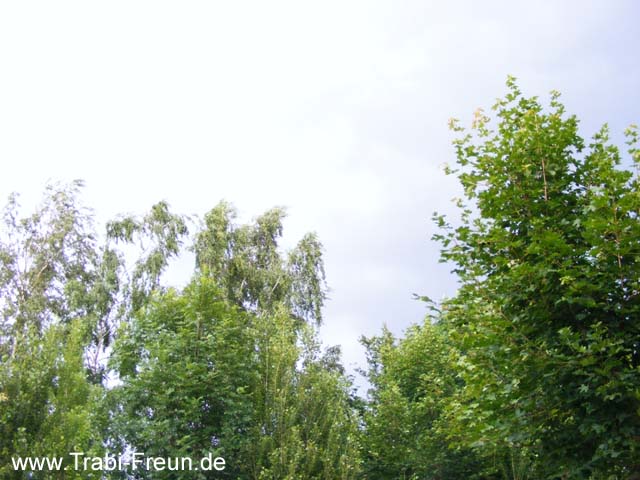DSCF1753