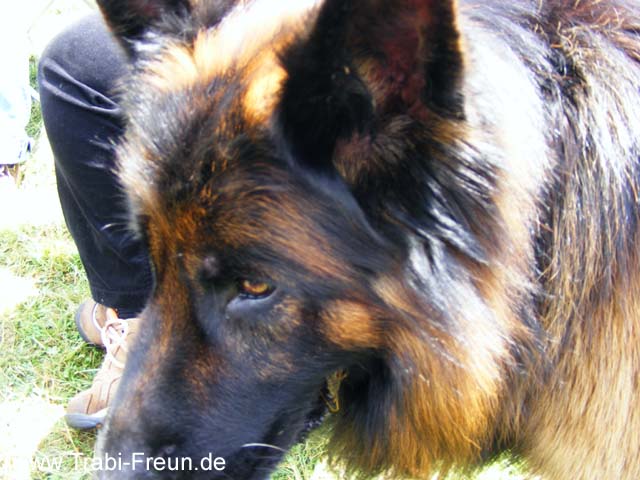DSCF1771