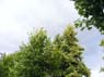 DSCF1754