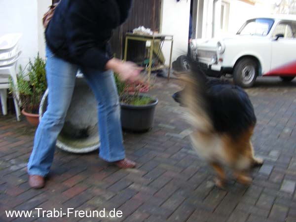 2007_12090075