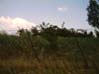 Bild001