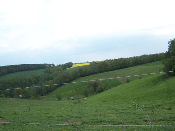 100_1053